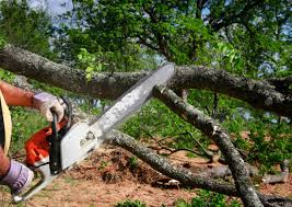 Best Lawn Watering Services  in Martinez, GA