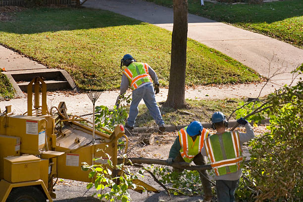 Best Lawn Drainage Solutions  in Martinez, GA